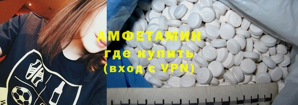 индика Балабаново