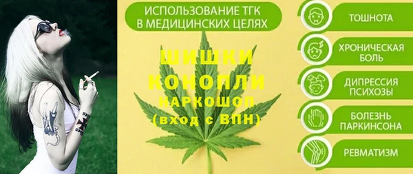 индика Балабаново
